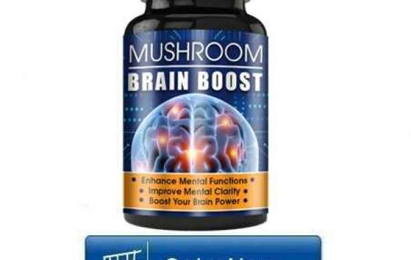 FDA-Approved Mushroom Brain Focus - Shark-Tank #1 Formula
