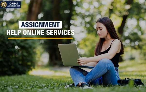 Book your task order with cheap assignment help services in USA