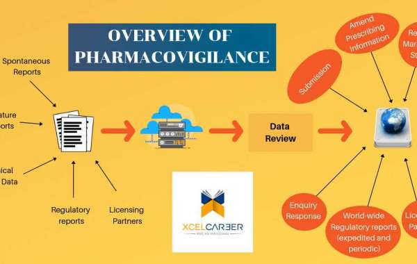 Latest Report: Pharmacovigilance Certificate Course Market Growing at a CAGR of xx% during (2022– 2028)