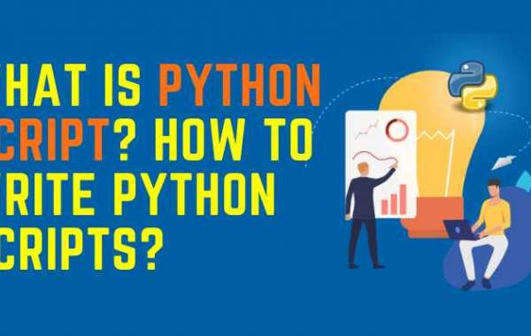 What is Python Script? How to write Python Scripts?