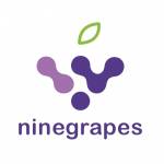 ninegrapes Profile Picture