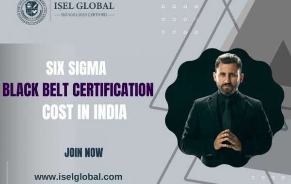 Six Sigma Black Belt Certification Cost in India
