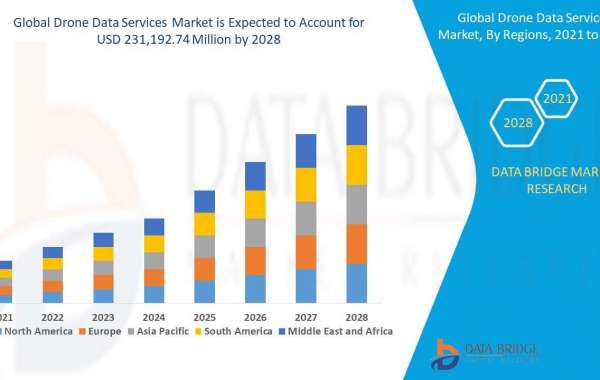 Drone Data Services Market Size, Industry Key Players, & Scenario By 2028