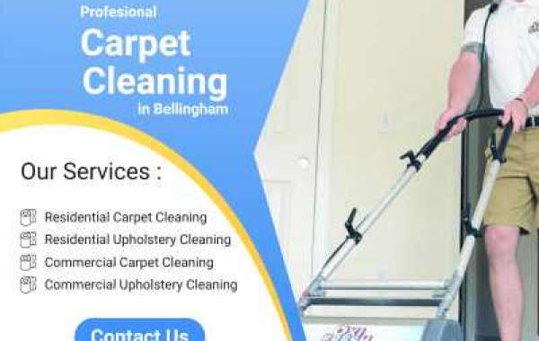 Affordable and Reliable Commercial Carpet Cleaning in Marysville