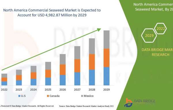 North America Commercial Seaweed Market Opportunities, Share, Growth and Competitive Analysis and Forecast 2029