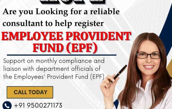 Kaali Is Chennai's Best Payroll, PF and ESI Consultant in Chennai
