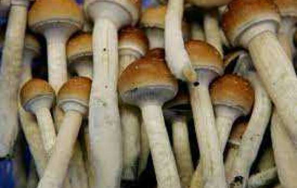 Psychedelic Drugs Online buy – Legal Psychedelics For Sale USA