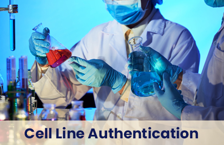 Get a Cell Line Authentication Test to Avoid Cross-Contamination & Other Errors