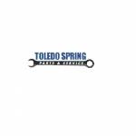 toledospring Profile Picture