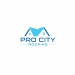 procityroofing Profile Picture