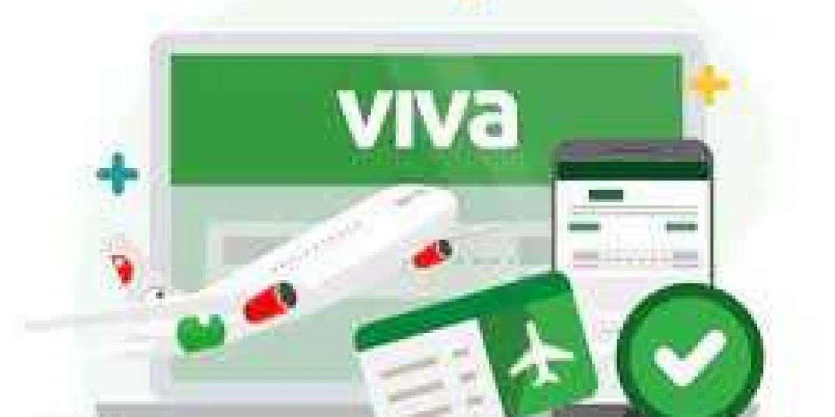 Viva Aerobus online check-in option | 6 Effective Ways