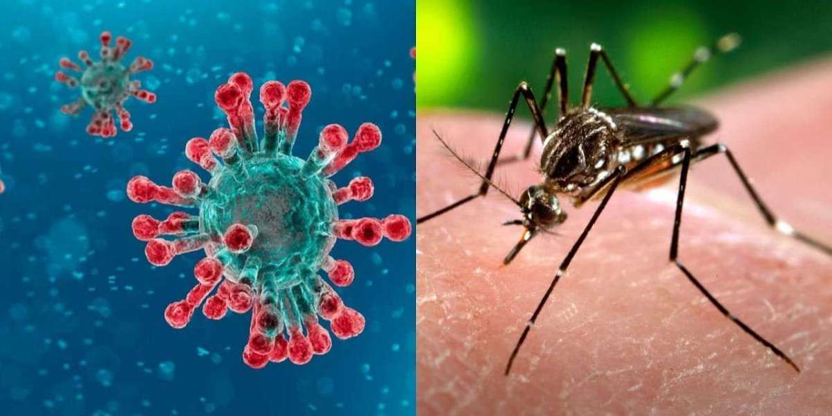 Chikungunya Fever Market Insights Report Projects the Industry to Depict an Impressive CAGR