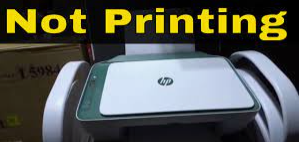 Why is my HP Printer not printing and how to fix it?