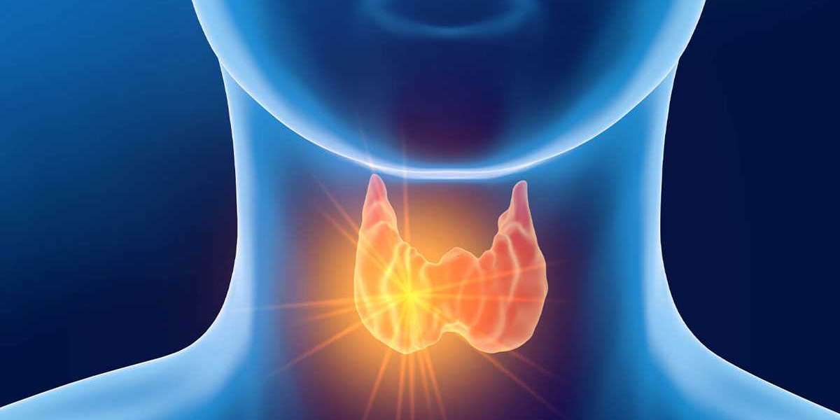 Hypothyroidism Market Insights: Industry to Accrete with A Whopping CAGR By 2032; Declares MRFR
