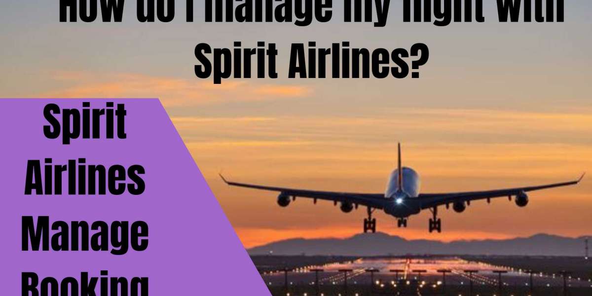 Does Spirit offer free flight change?