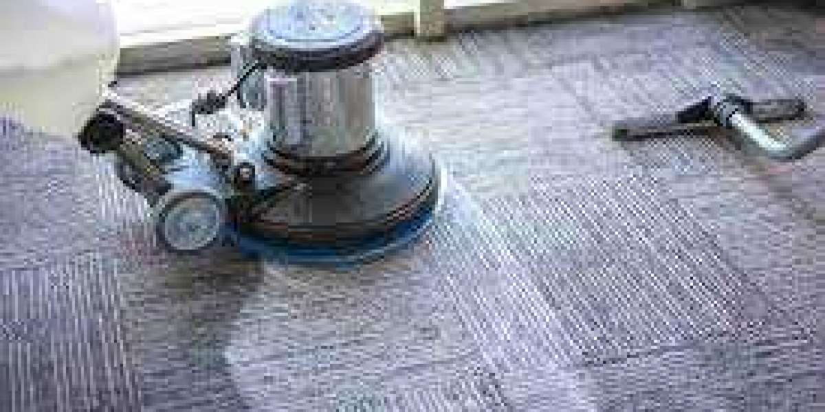 Weighing the Benefits and Disadvantages of Professional Carpet Cleaning Services