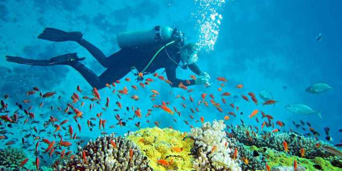 Scuba Diving in Andaman - Best Adventure in Andaman