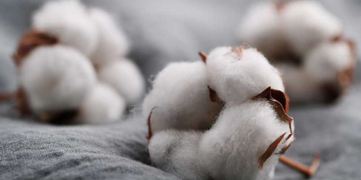 The Rise and Fall of Cotton Prices