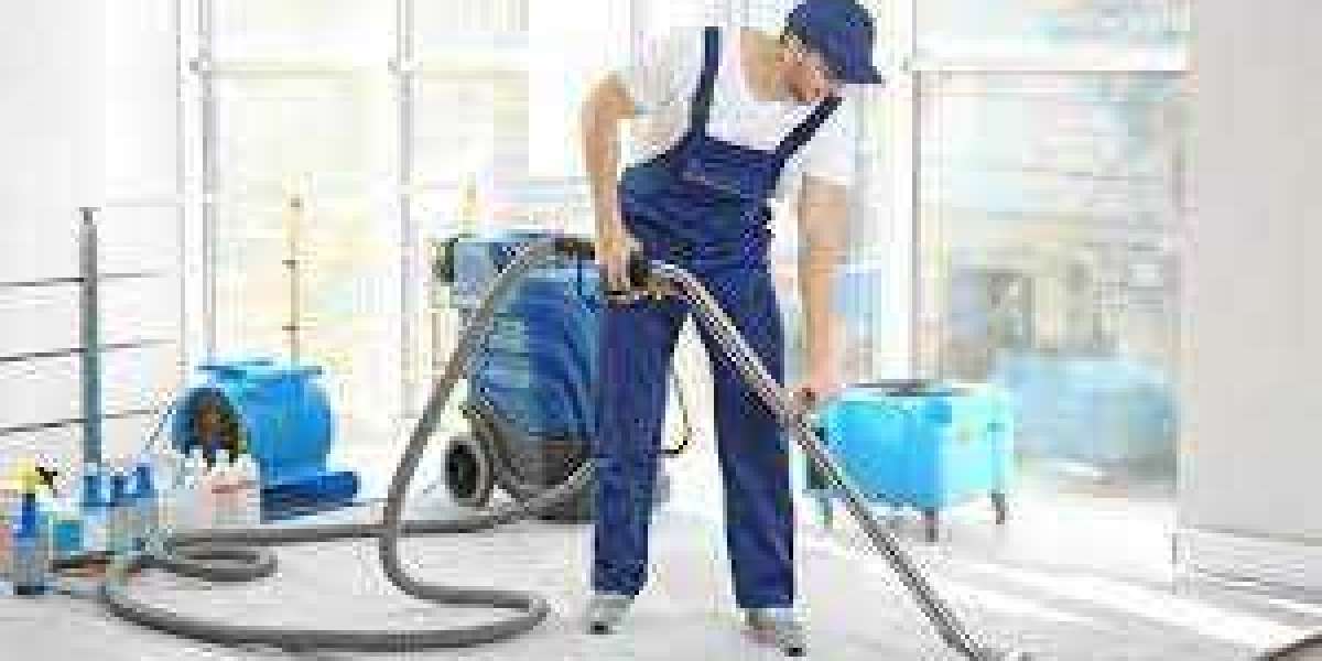 The Aesthetic and Health Benefits of Carpet Cleaning Pros
