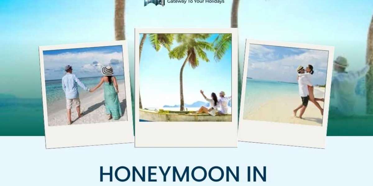 Explore the Enchanting Beauty of Goa: Your Ultimate Honeymoon Destination