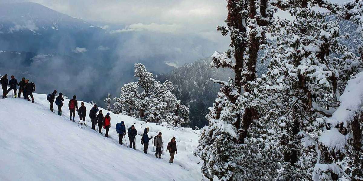 Brahmatal Trek: A Winter Wonderland in the Himalayas