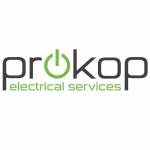 ProkopElectricall Profile Picture