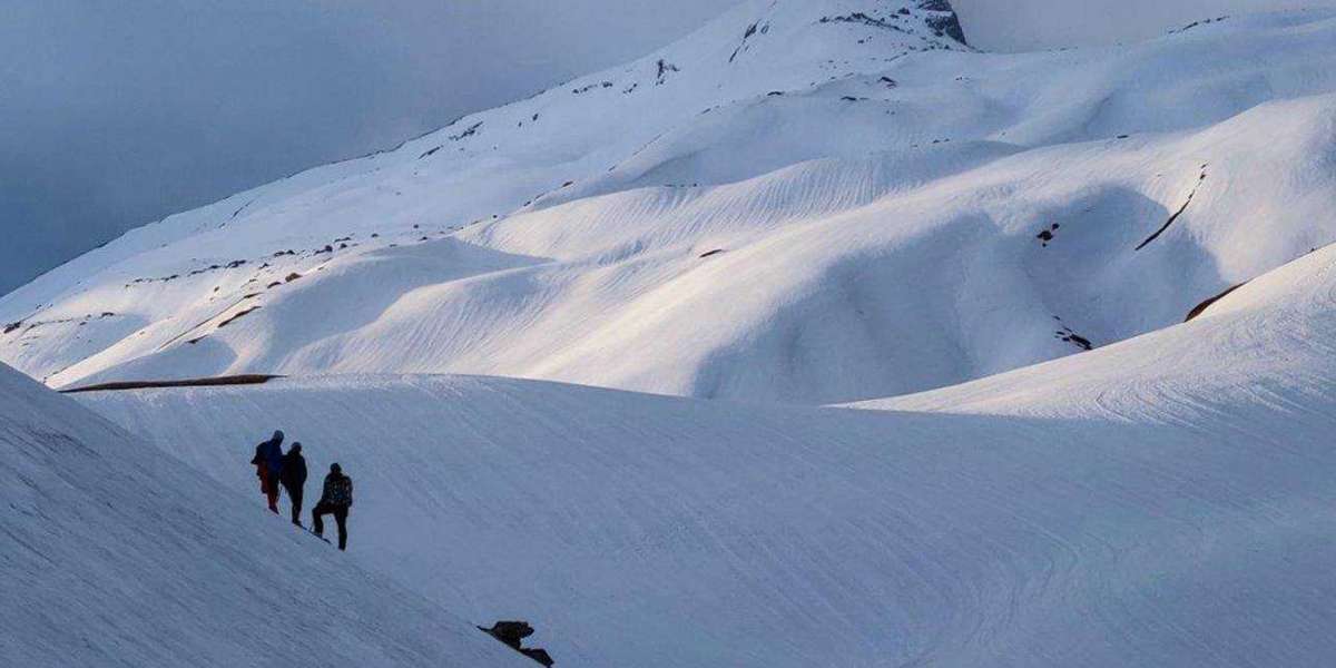 High Altitude Adventure: Scaling Pangarchulla Peak