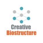 creativebiostructure Profile Picture