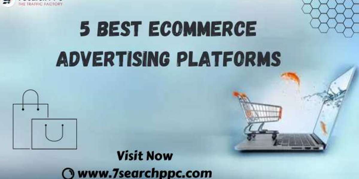 5 Best Ecommerce Advertising Platforms