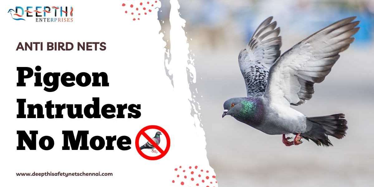Feathered Nuisances No More: A Comprehensive Guide to Anti Bird Nets in Chennai