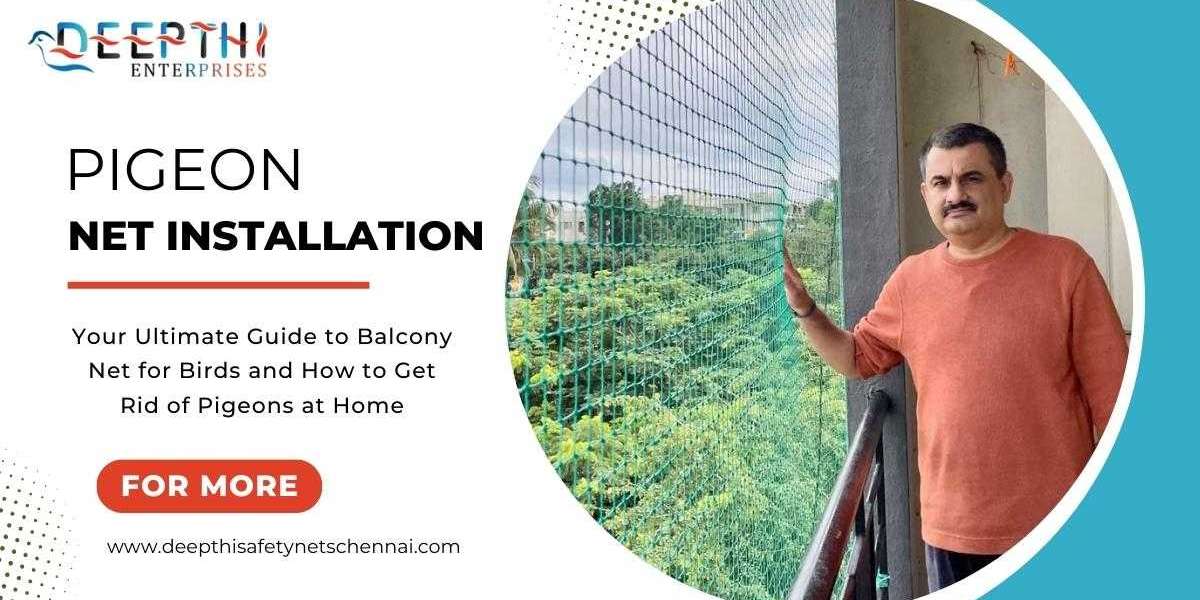 Pigeon Nets Installation: Your Ultimate Guide to Balcony Net for Birds and How to Get Rid of Pigeons at Home