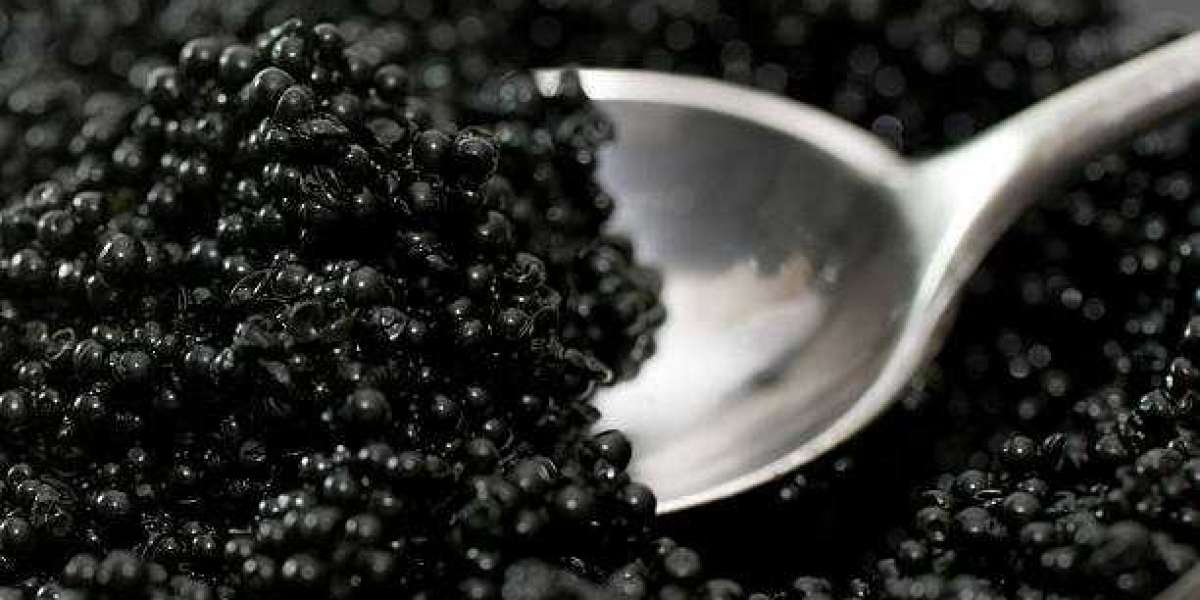 Caviar Market Size & Share is Expected to Rise at Higher CAGR Value, Driving Factors and Growth Forecast 2030