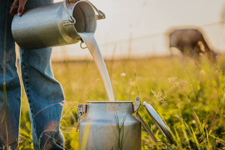 The Raw Truth about the Benefits of Buying Raw Milk