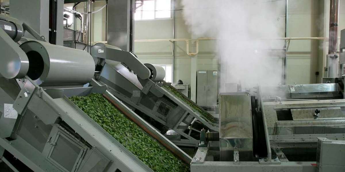 Tea Processing Equipment Market Size Analysis, Industry Outlook, & Region Forecast, 2033