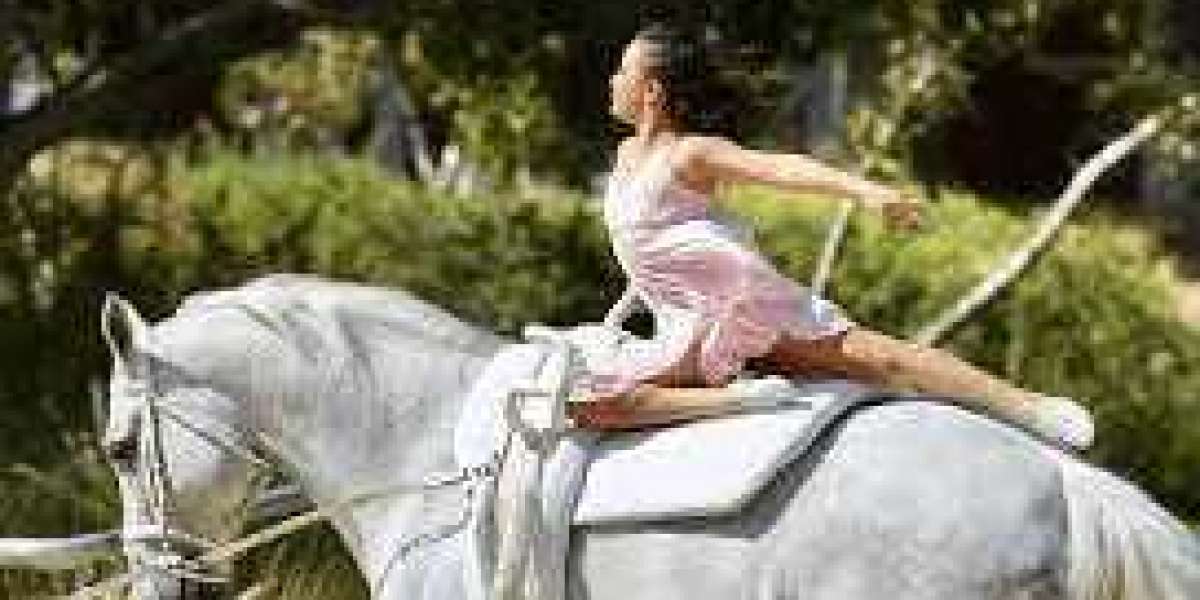 "Toptierce Horse racing & riding"