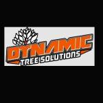 dynamictreesolutions Profile Picture