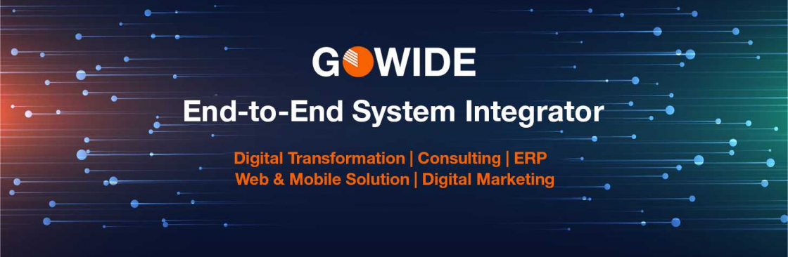gowidesolutions Cover Image