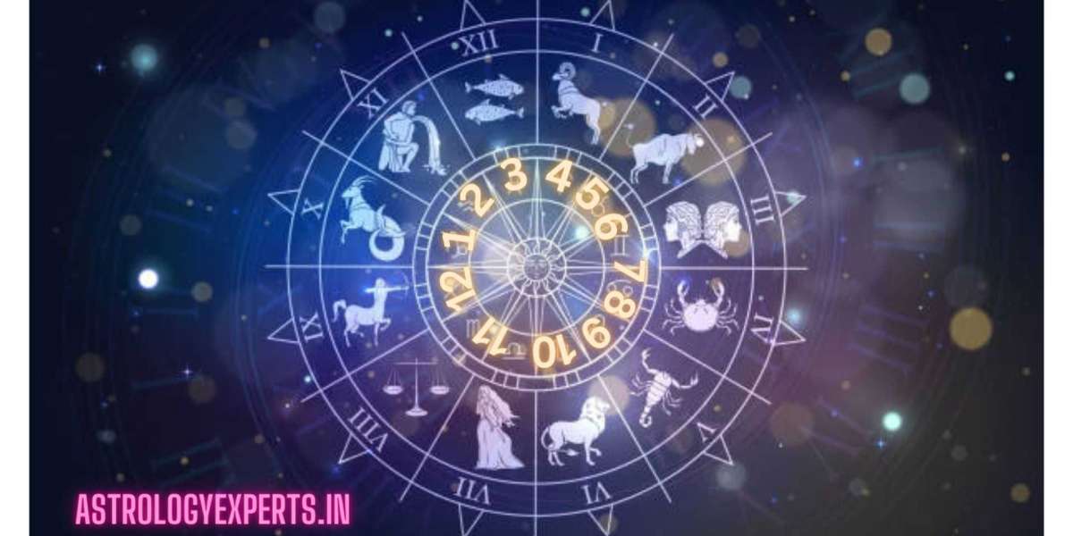 Best Astrologer In Punjabi Bagh, West Delhi