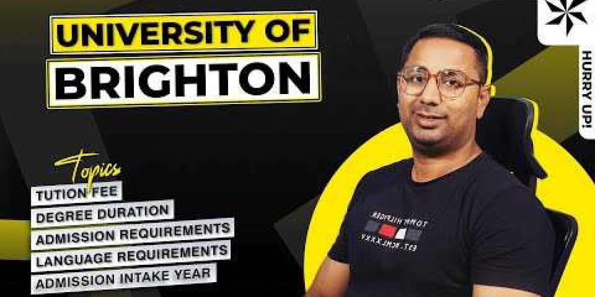 Brighton University: Fostering Excellence in Education, Innovation, and Diversity