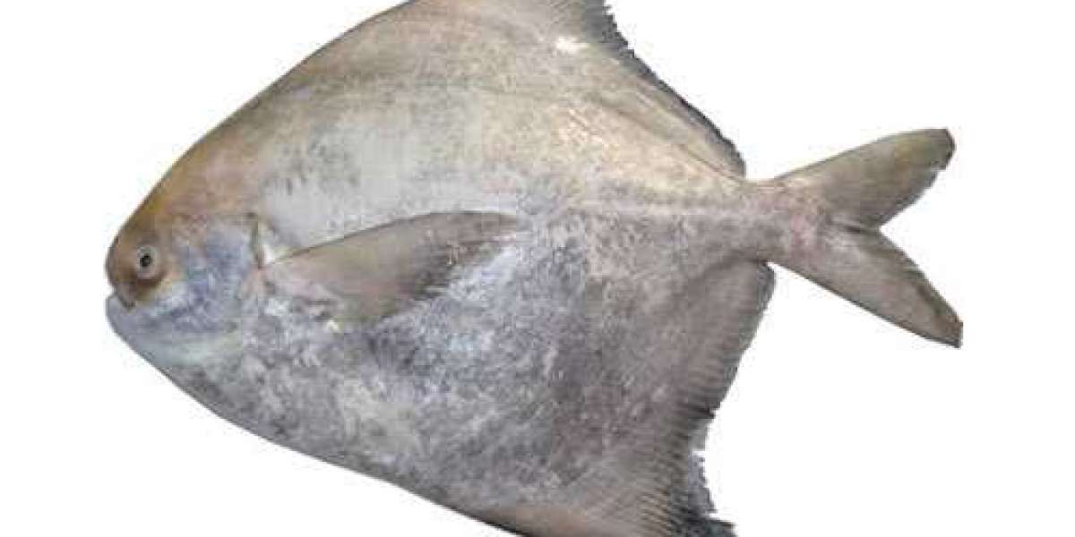 Ahmedabad Fish Hub: Your Go-To for White Pomfret Paplet Fish Online