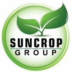 suncrop Profile Picture