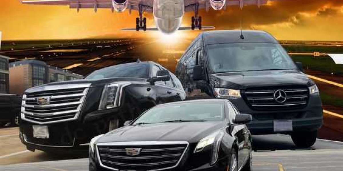 Examining the Practicality of Limo Toronto's Owen Sound Airport Limo Services