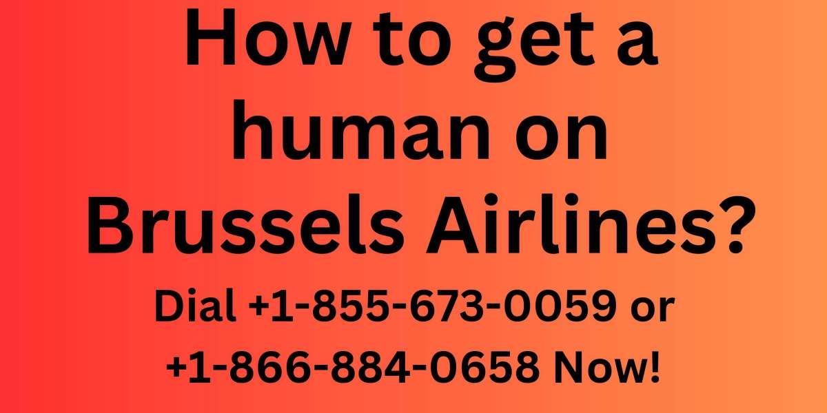 How Can I Talk to a Live Agent at Brussels Airlines: Call +1 866-884-0658 [24x7]