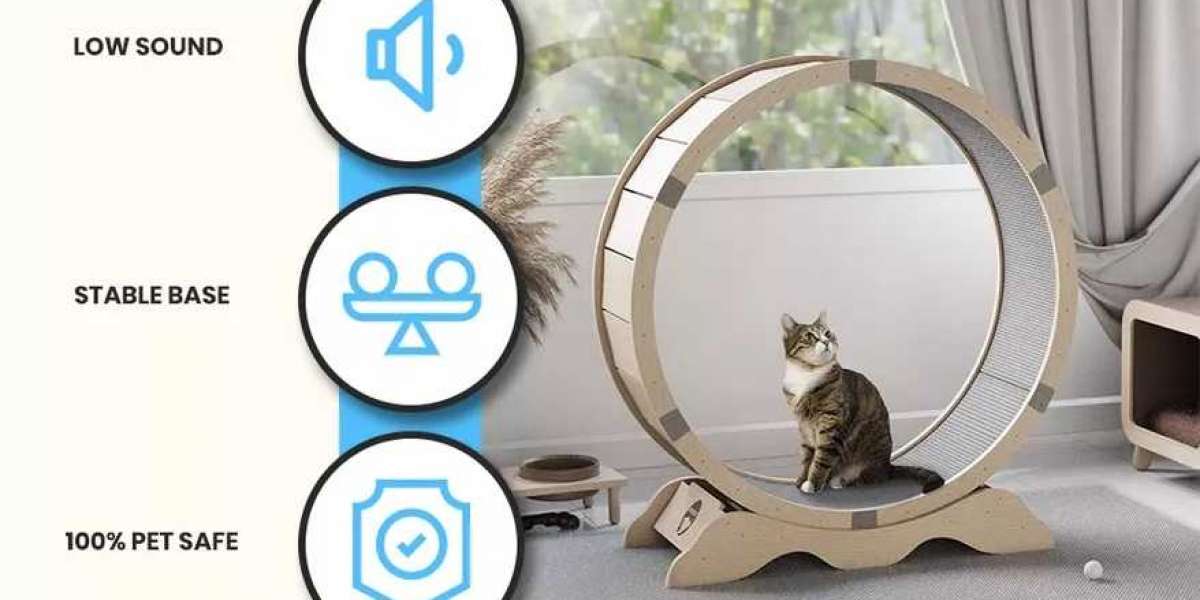 Exercise Wheel for Cats