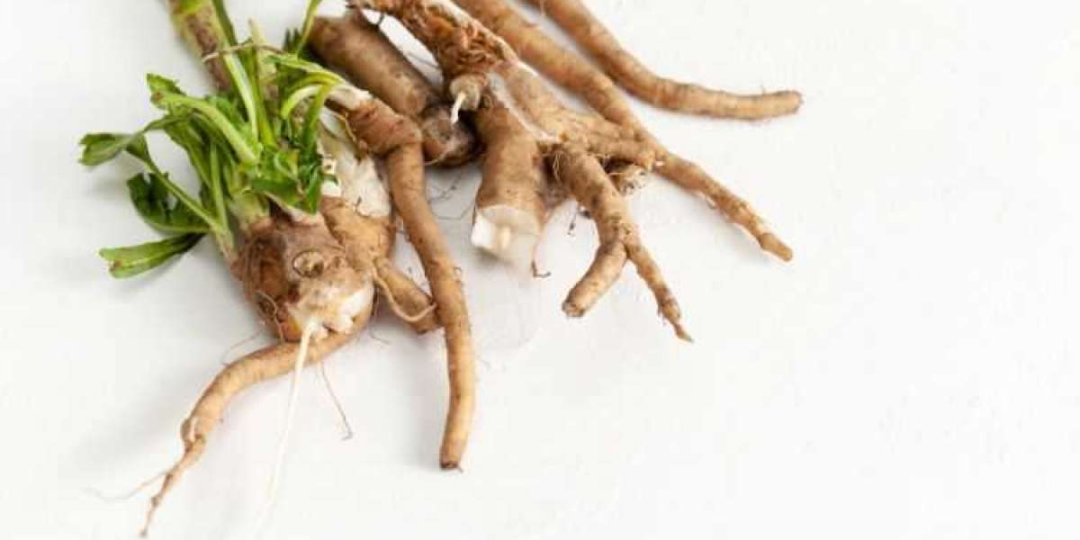 The Growing Popularity of Chicory Root Fiber: A Market Overview