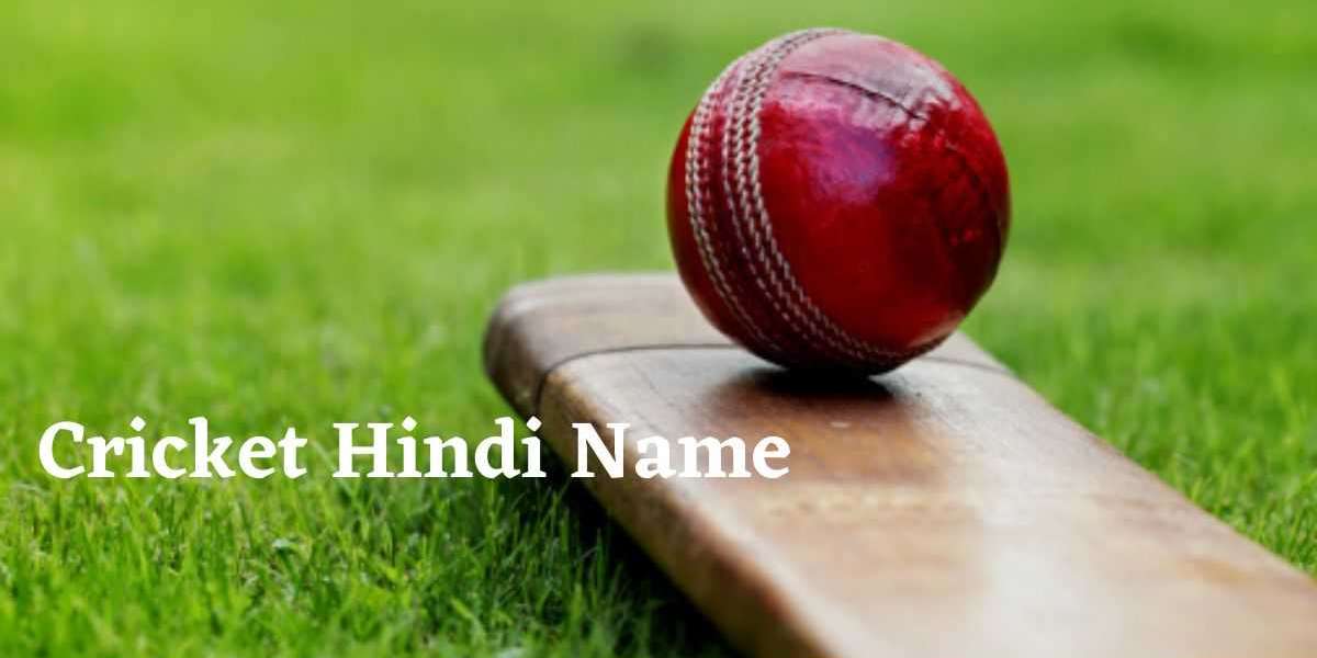 Cricket Hindi Name