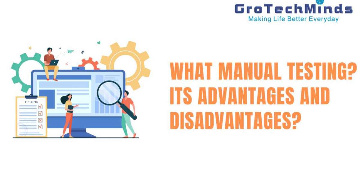 What Manual Testing? Its advantages & Disadvantages?
