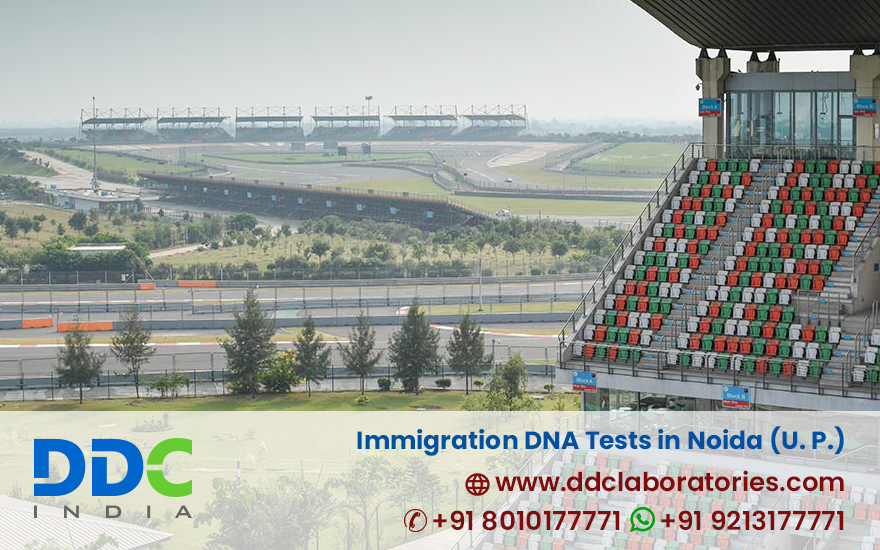 Accurate and Reliable Immigration DNA Testing Services in Noida