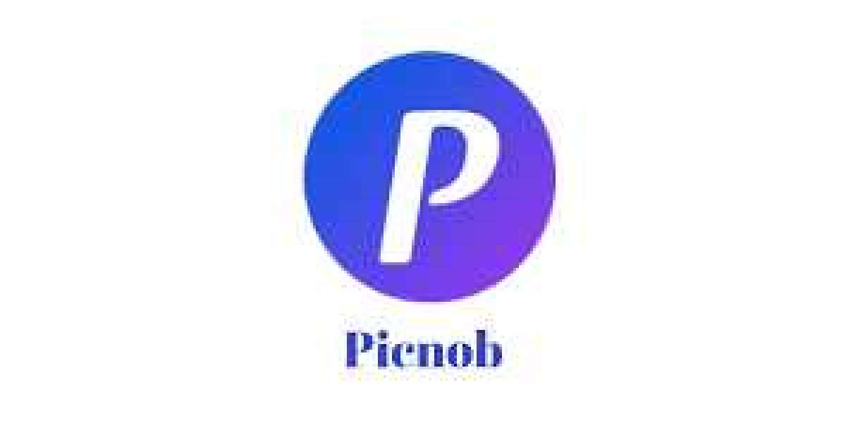 Picnob Instagram Viewer Tool