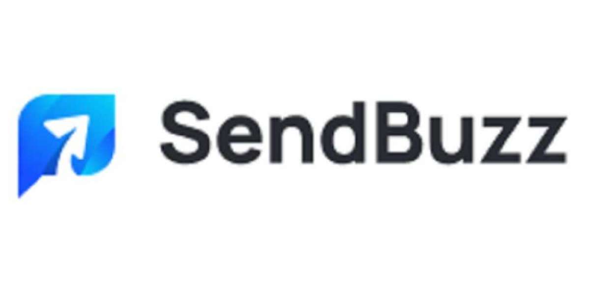 Validate Your SPF: SendBuzz's User-Friendly SPF Checker